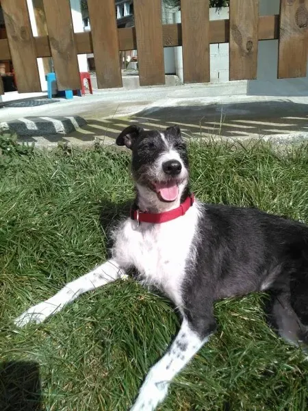 11163745 1701366146812678 2352231614109554644 n