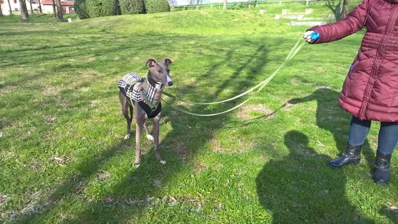 11163756 1232769770085438 4511473634211725646 n