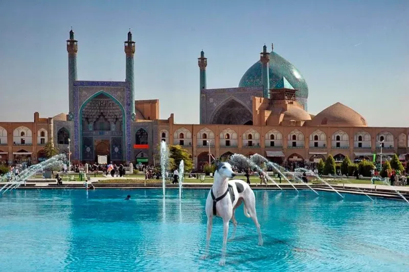 11163808 10205775762746303 966657473338678703 n1