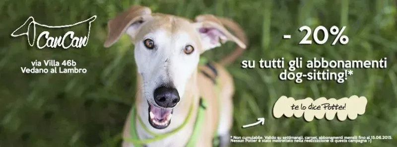 11163894 1585537941704241 147421877463536615 n