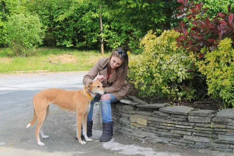 11164601 1014948678522831 6943109250206891901 n