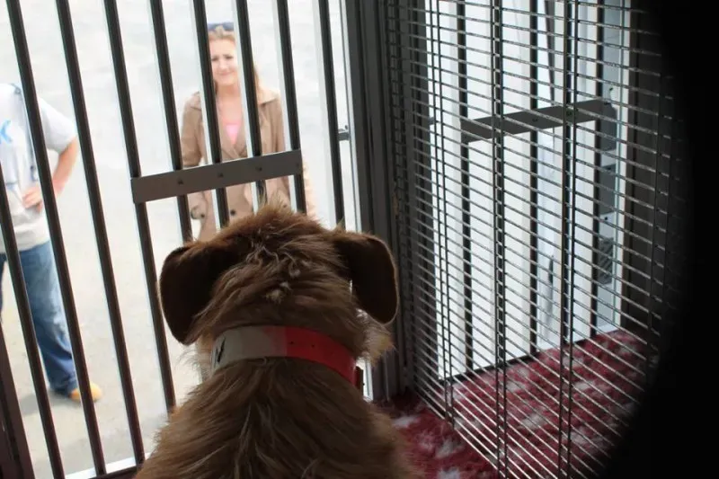 11165301 1014949331856099 6036211555451119196 n