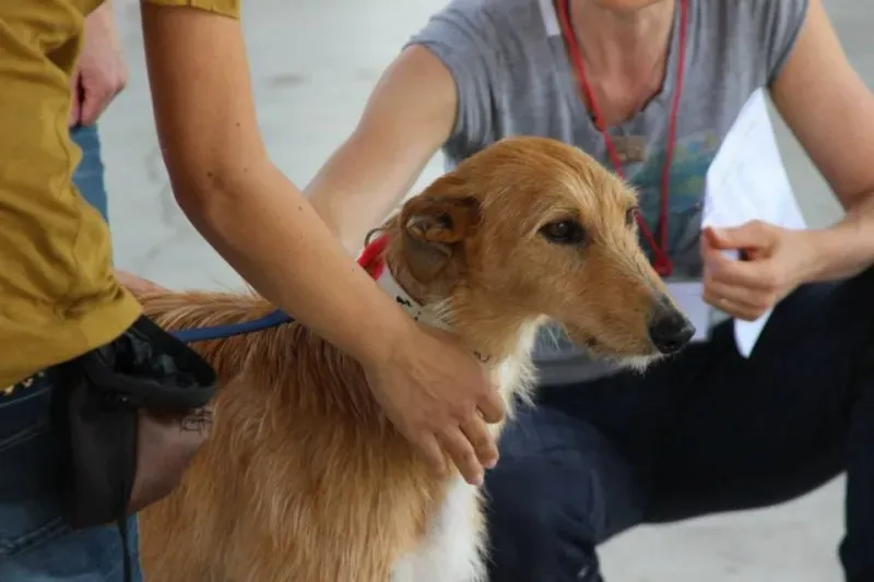 11167970 834201169997073 2165996690377236554 n