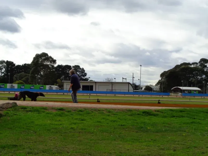 11168146 10153014518448354 7293580967178591515 o