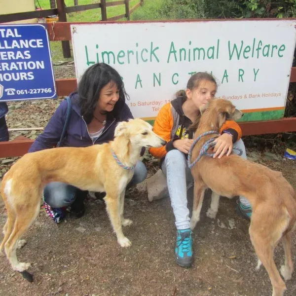 11168401 1648694718678559 8160523116448649078 o