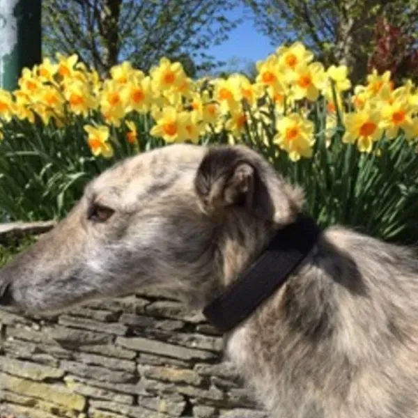 11169822 814751255275398 276562170365271239 n