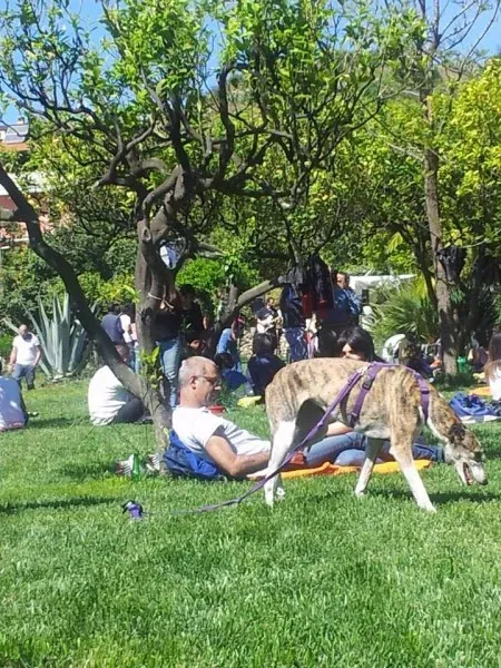 11174895 10205658704379332 2937945351625236549 n