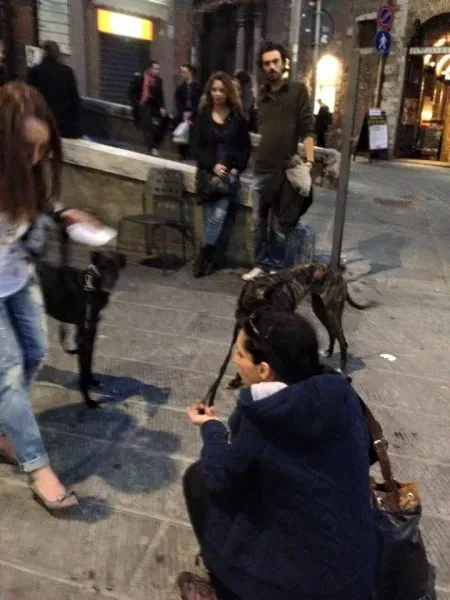 11175028 10204827361376252 2047168278718579622 n