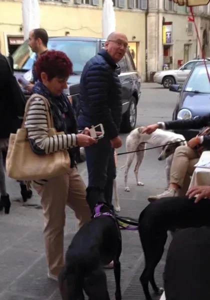 11178226 10204827358496180 3186999473900159183 n