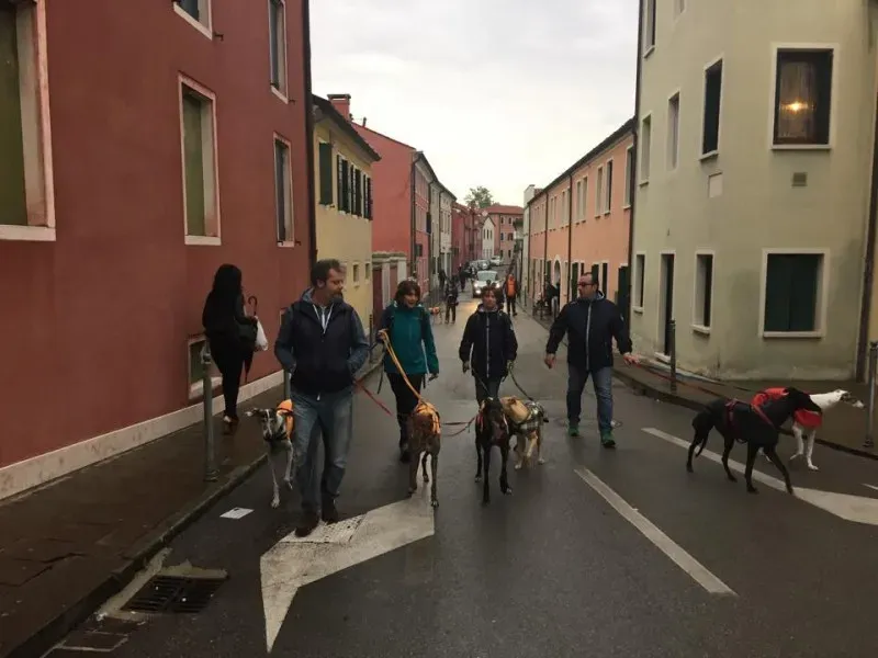 11178253 821754357908421 1294608940523154305 n