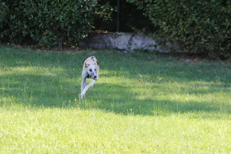 11178367 886801514737038 962815110444889935 n