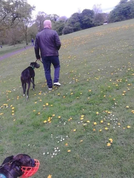 11180022 10205050988052114 777026166 n