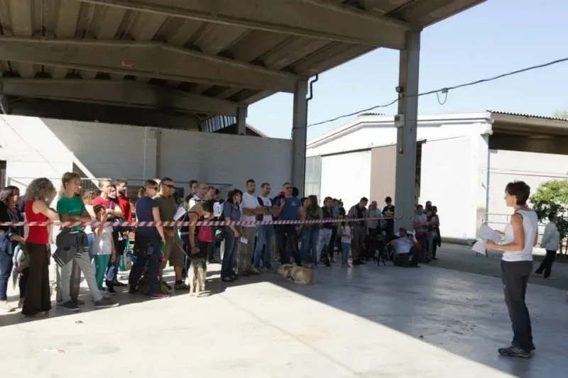 11181875 895085973908592 4545595970231647322 n