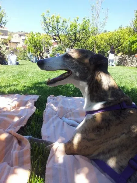 11182053 10205658706779392 4743719007003757540 n