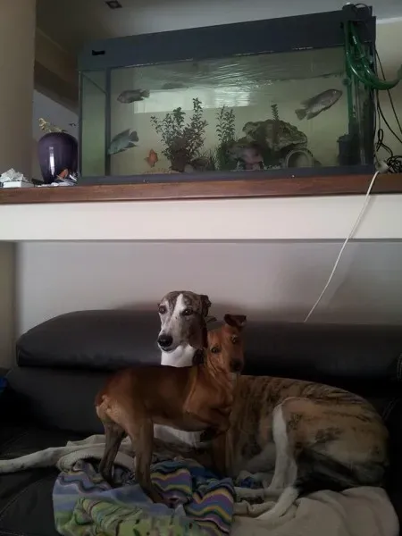 11182254 10205628407221922 6681216282044688897 n