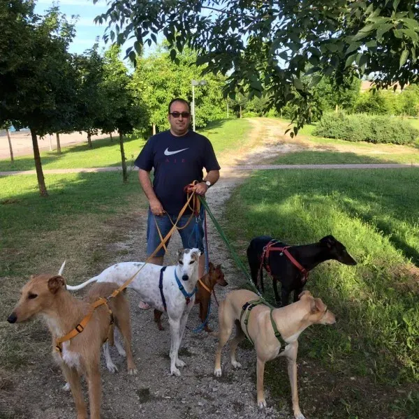 11183468 10204575174001624 3185994385621587235 n1