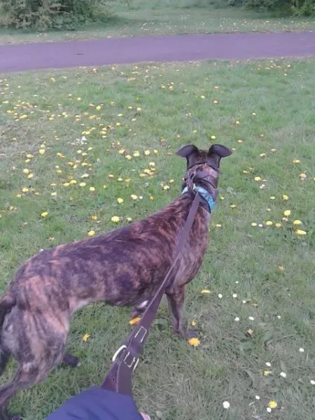 11185781 10205050988332121 489850898 n