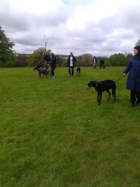 11186256 10205050991492200 2116067115 n