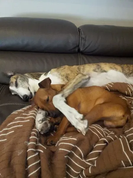 11188183 10205628405781886 970991350134099357 n