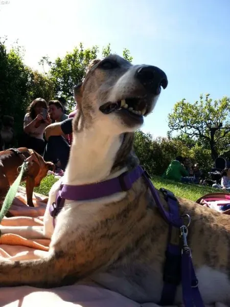 11188267 10205658699979222 6289798365365660474 n