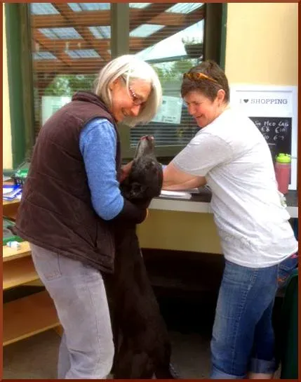 11188389 421134758065115 7434113736469089386 n