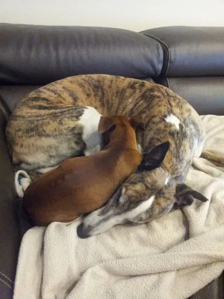 11188408 10205628407781936 7828963665625180298 n