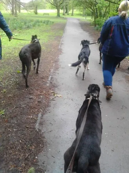 11195276 10205050989812158 1770675260 n