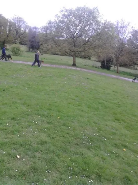 11195335 10205050989372147 49755697 n