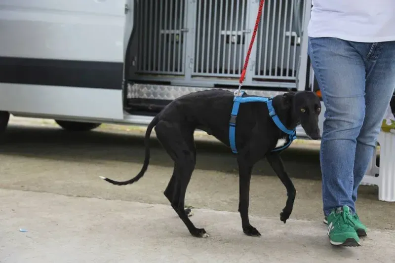 11196283 824846557599201 957780209064739214 n