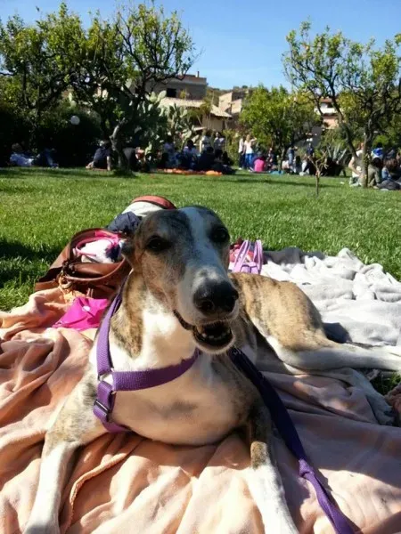 11196315 10205658700179227 4584667783055353535 n