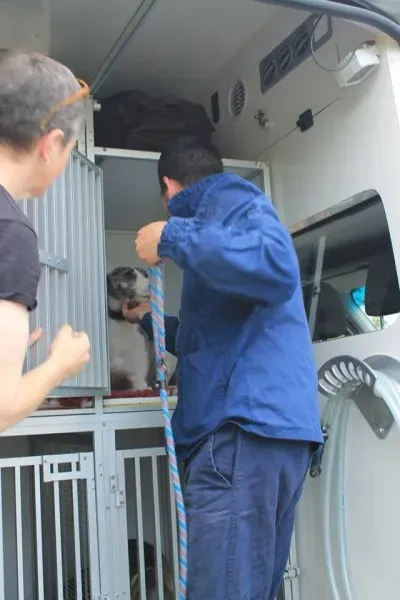 11196325 1014947668522932 4661976627192857203 n