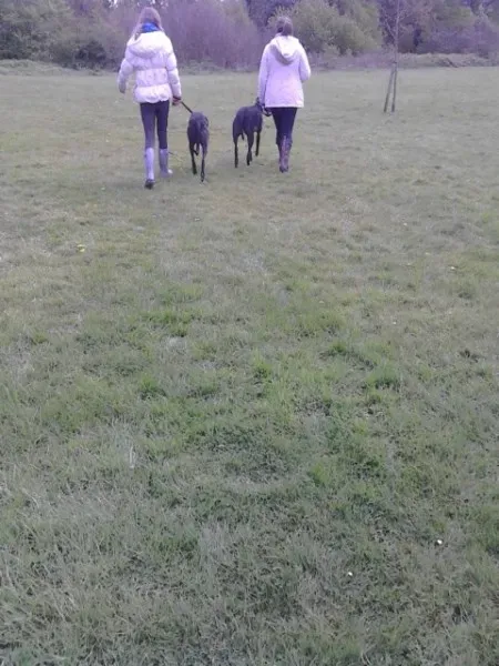 11198422 10205050991612203 1295395612 n