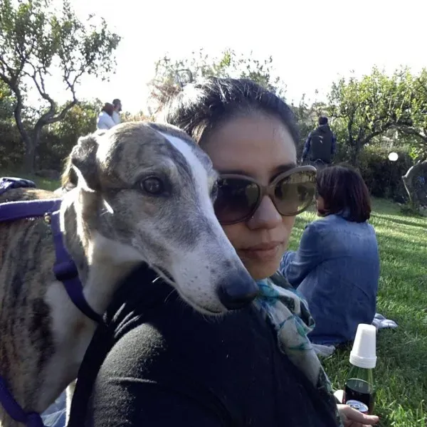 11200622 10205658701579262 968482361934670423 n