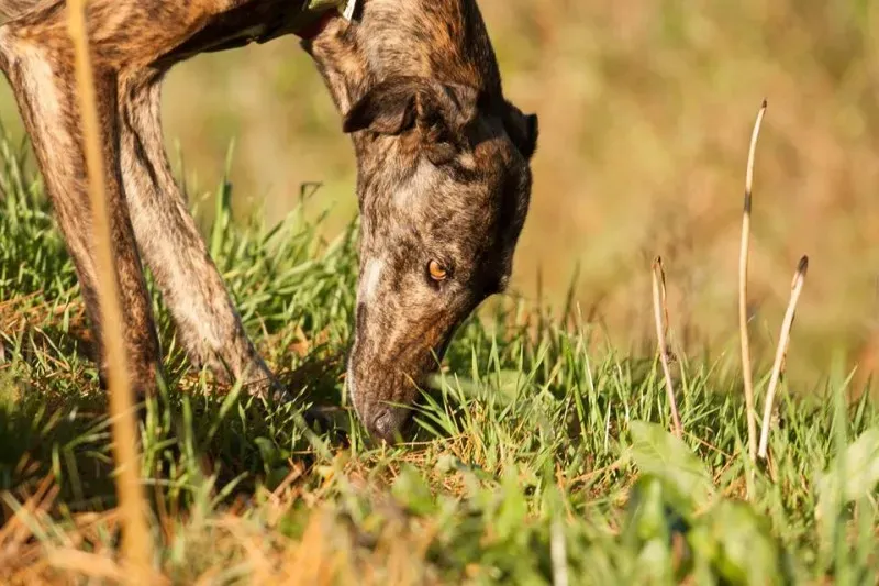 11201832 10207272175310038 3825860365679912962 n