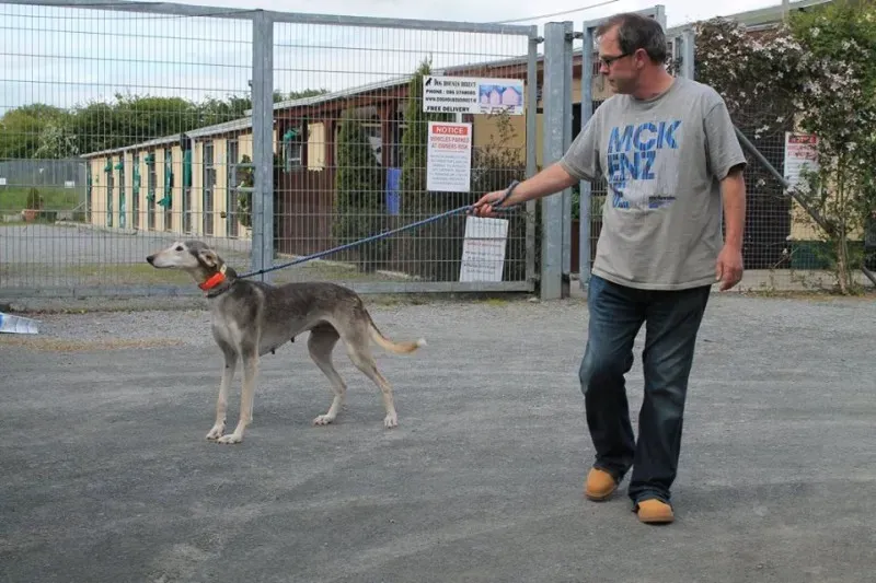 11201908 1014947298522969 291356598777499218 n