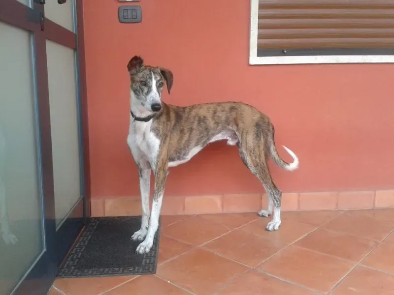 11202847 10204760151179962 1744826517224738299 n