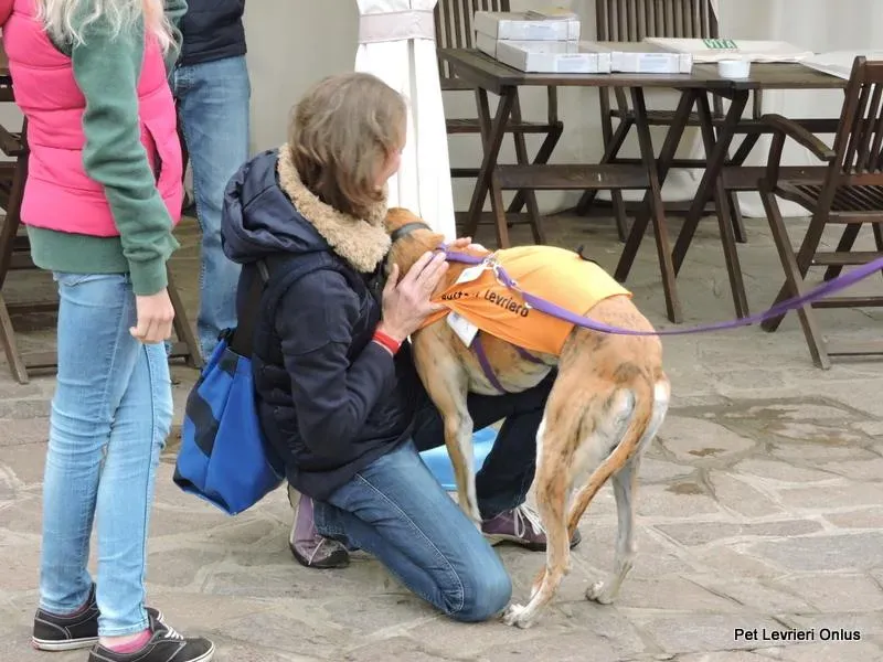 11202891 918536088230247 5449497853688591718 n