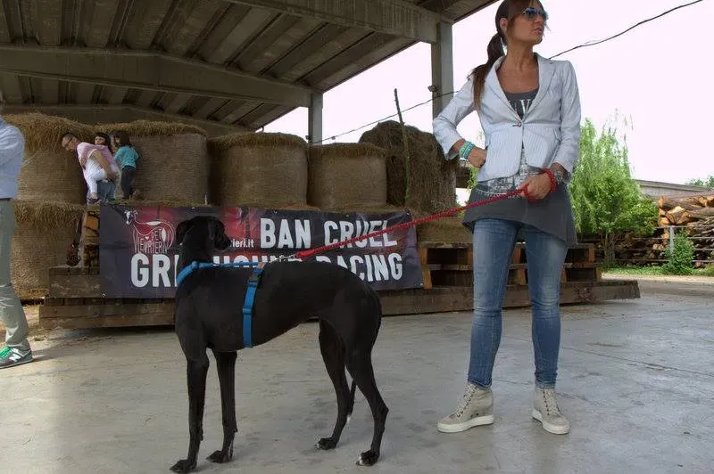 11202954 825208627562994 4027017870642958916 n