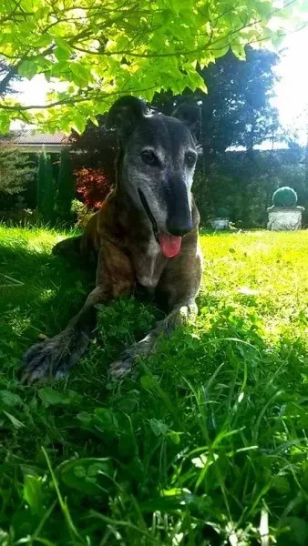 11204995 1426013244373954 5051986561794080295 n1