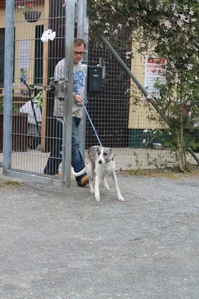 11205028 1014947541856278 2846532847997927918 n