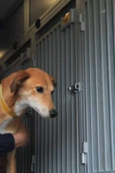 11205616 1014948848522814 3239051503120587947 n