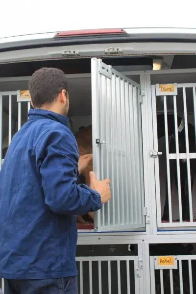 11206066 1014947945189571 2510114700137426280 n