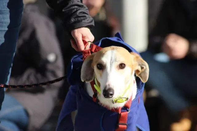 11206958 929738703776652 7513492774879596240 n