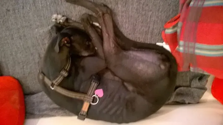 11207295 1614635002133352 6989538295890543297 n