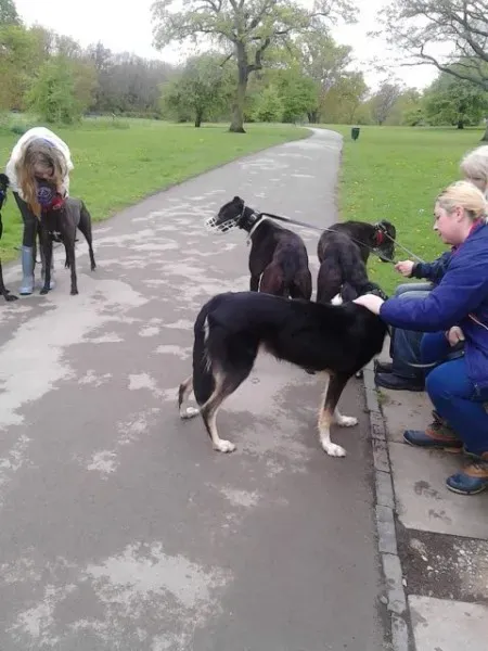 11208983 10205050989052139 1217169292 n