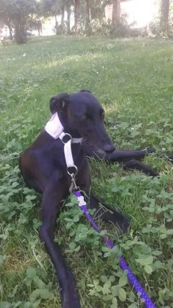 11209456 898375420246314 799966358943851608 n