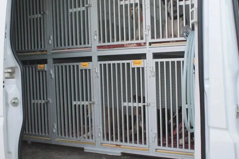 11209549 1014949231856109 1396856423660867702 n