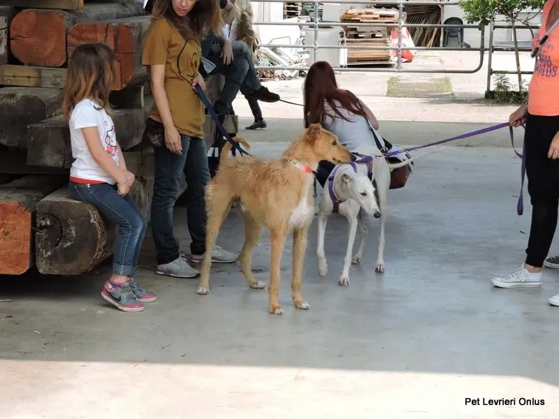 11209661 835089366574920 6875900715770860859 n