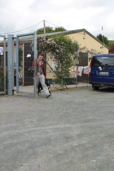 11209698 1014947751856257 3404421099569100771 n