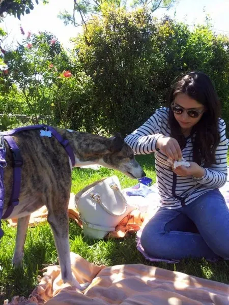 11209710 10205658705379357 4187622322827073115 n